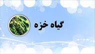 پاورپوینت گیاه خزه