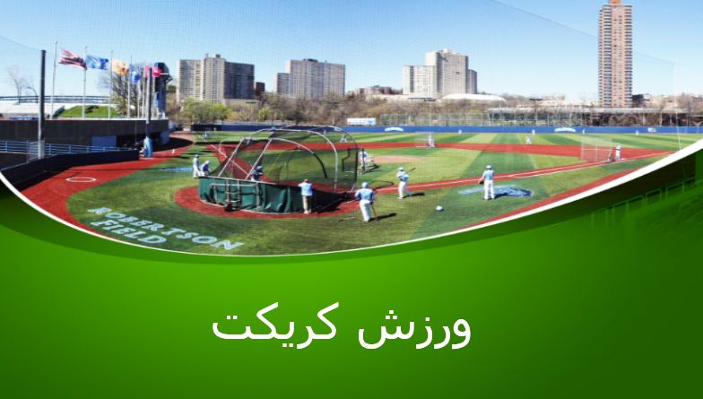 پاورپوینت کریکت به همراه تصاویر