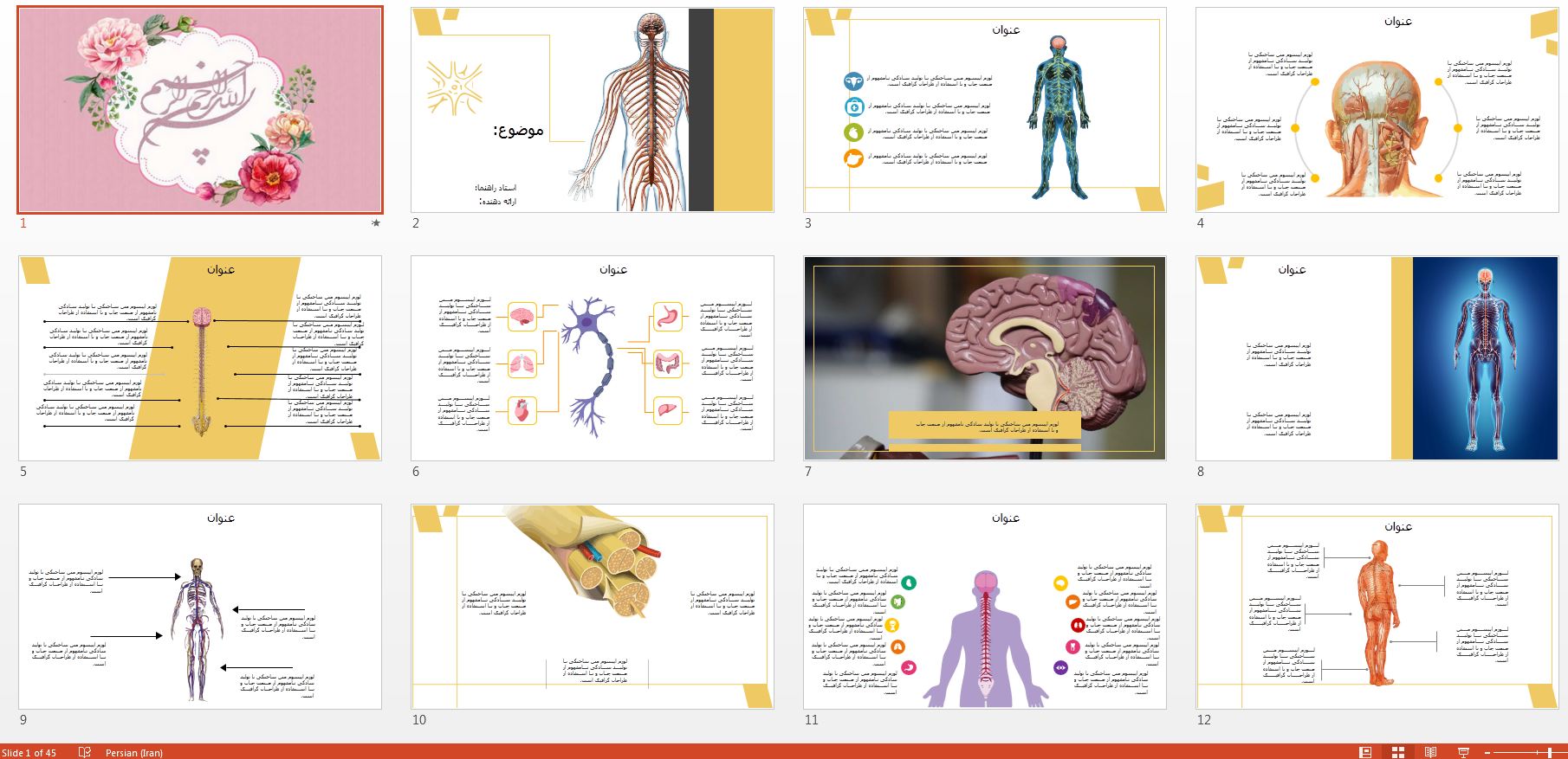 جدیدترین و زیباترین قالب پاورپوینت سیستم عصبی انسان