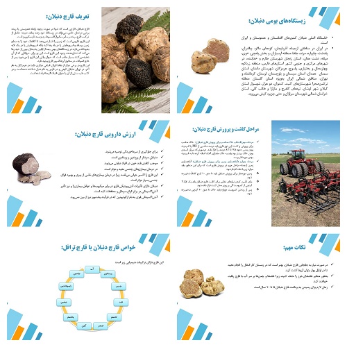 پاورپوینت معرفی و نحوه‌ی رشد قارچ دنبلان